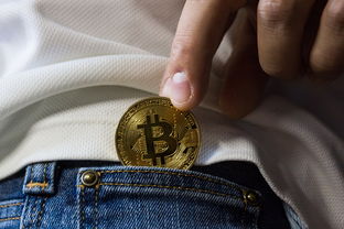 陆丰市慢性病防治站做胸片多少钱？