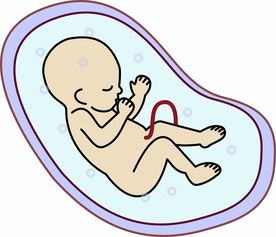 温州妇儿医院试管婴儿成功经验全解析，技术、案例与常见问题指南