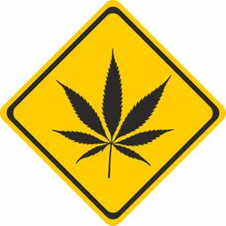 急性病毒性肝炎早期的治疗详解