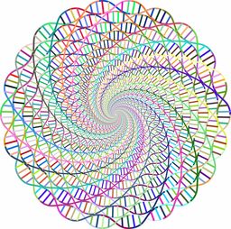 分子靶向药物的使用时长解析