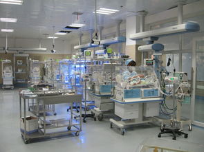 上海儿童医院NICU（新生儿重症监护室）探秘
