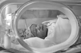上海儿童医院NICU（新生儿重症监护室）探秘