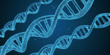 生物学上测蛋白mast是什么意思？