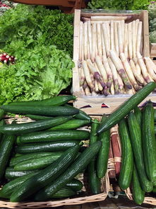 味草，功效、作用及实际应用解析