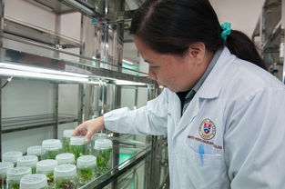 深圳南山区慢性病防治院的一站式服务与管理