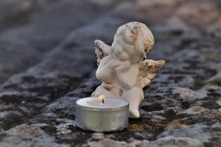 治疗日晡潮热的中药方剂