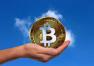 眼科专家金学民的故乡与职业之路