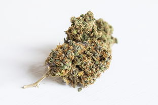 痛风性关节炎的中药治疗策略
