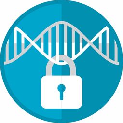 PD1/PDL1抑制剂药物全解析，常见药物、适用人群与使用指南