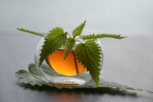 车前草的籽有什么作用