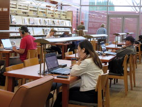 王铮爱尔是哪个大学的？一篇关于他的教育背景和职业发展的深度解析