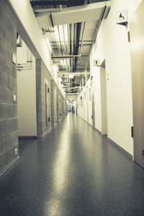 眼科医科大学的神秘之地，探秘医学殿堂的宝藏之地