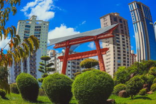 温州市眼视光医院位置指南