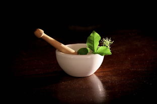 防风与石膏，中医药中的黄金搭档