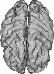 眼里有小翅膀了？医生教你科学应对翼状胬肉