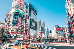 东明路纬四路附近的医院指南