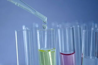 免疫球蛋白抑制剂，守护健康的生物盾牌