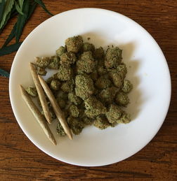 板蓝根，从田间到药柜的感冒克星