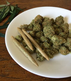 板蓝根，从田间到药柜的感冒克星