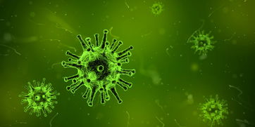 泡性角结膜炎用药指南，了解症状、选择药物与真实案例