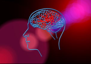 远视眼患者中老年阶段的应对策略，科学护眼与生活调整指南