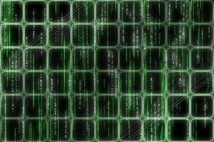 AMD在眼睛病中代表什么意思？