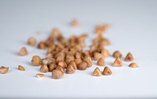 中药羊肚菌的作用及实际应用探讨