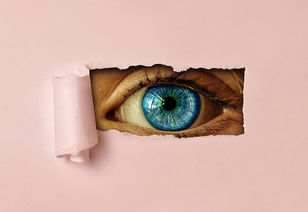 眼角膜移植，当我们的眼睛需要升级，我们该如何选择？