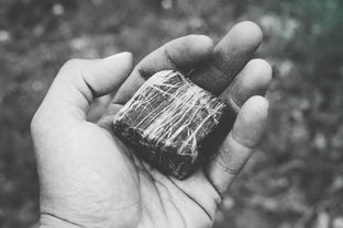配眼角膜的费用详解，价格、因素与案例分享