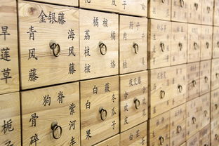 中医智慧，治疗风热感冒的中药方剂