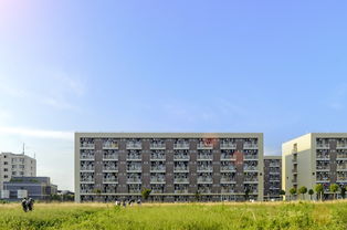 中山大学医院分布全解析，广州及周边城市就诊指南