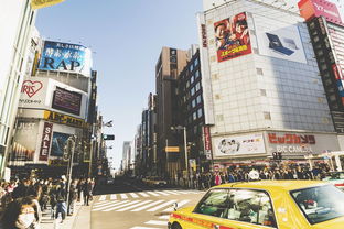 泰安市爱尔眼医院位置及服务概览