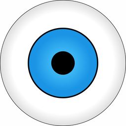 关于角膜塑形镜的价格解析