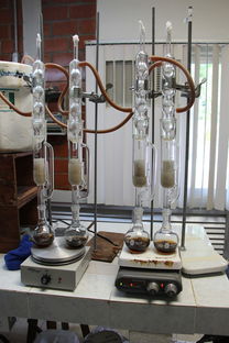 超声生物显微镜UBM，揭秘眼科医学的新星