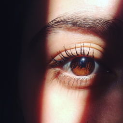 温州眼视光什么时候上班
