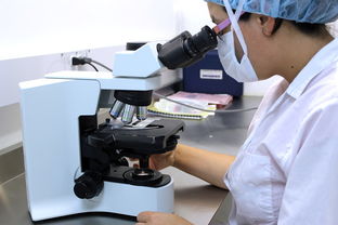 NKT细胞免疫治疗，从实验室到临床的抗癌新希望