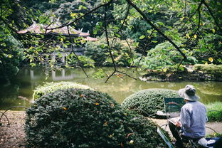 细叶草，田间地头的天然良药—从种植到入药的全方位解读