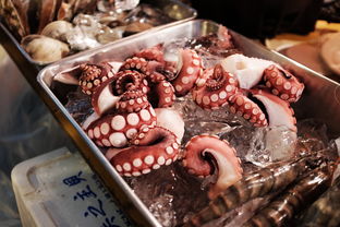 癌症患者仅靠稀食能维持多久？