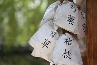 中华中医网中药方剂a—传统智慧与现代生活的完美结合