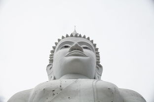 上海配角膜塑形镜哪里好？