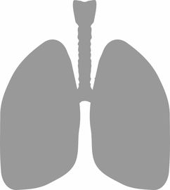 肺部靶向药多久会有耐药性？详解耐药性与应对策略