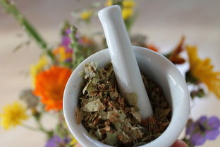 中药材炖猪肚，传统食疗的养生密码