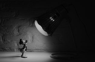 近视眼飞秒手术全解析，效果、风险、适合人群大公开