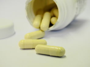 万病回春，保健作用及其重要性