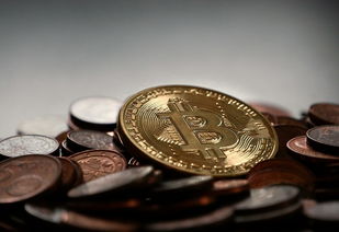 麦迪格国际矫正全解析，技术、案例与避坑指南