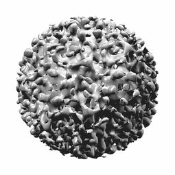 天竺黄，被低估的天然镇咳药？医生教你科学使用