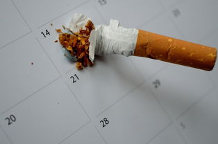 肝部恶性肿瘤患者的生存周期解析