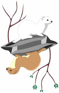 近视患者的夏天与冬天，这些变化你注意到了吗？