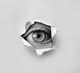 视网膜椭圆体带，揭秘我们眼睛的隐形守护者