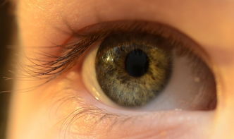 隐形眼镜有个叫普系列，到底是个啥玩意儿？